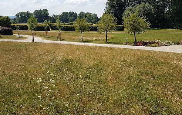 Kurpark Obermain-Therme ©LPV Landkreis Lichtenfels Blühfläche in Park