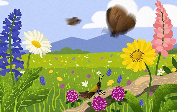 Natürlich Bayern ©DVL Videoausschnitt eines Cartoonfilms