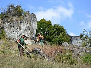WIR machen Landschaft ©P. Roggenthin Männer mähen mit Geräten am Hang