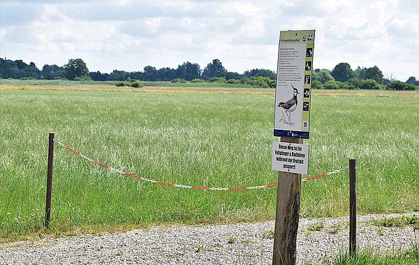Wiesenbrütergebiet, LPV Kelheim VöF ©DVL