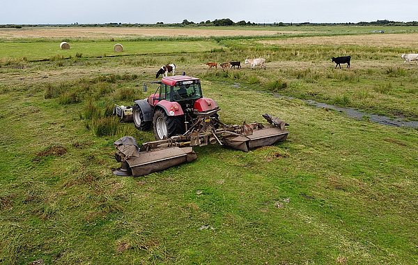 Moor-Klimawirt ©Peter Roggenthin Moor-Raupe beim Mähen einer Weide im Moor