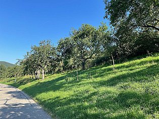 WIR machen Landschaft ©LPV Neumarkt i.d.OPf. e.V. Hang