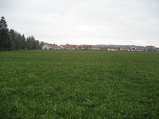 Wiese ohne Bewuchs