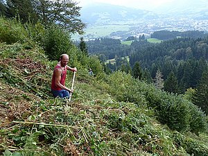 WIR machen Landschaft ©L. Schaefer Mann entfernt kleine Büsche im Hang