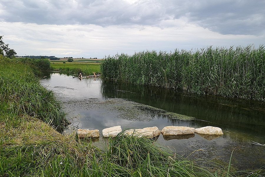 Boulders, rootstocks and timber structures in the Grosse Laber near Schierling, district of Regensburg, now positively changing the flow dynamics of the river