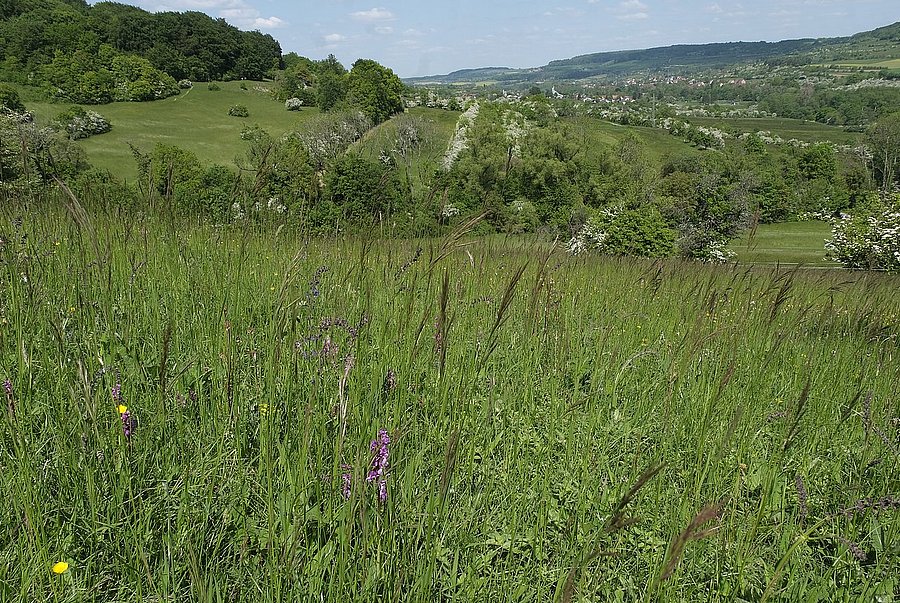 Reich strukturierte Landschaft