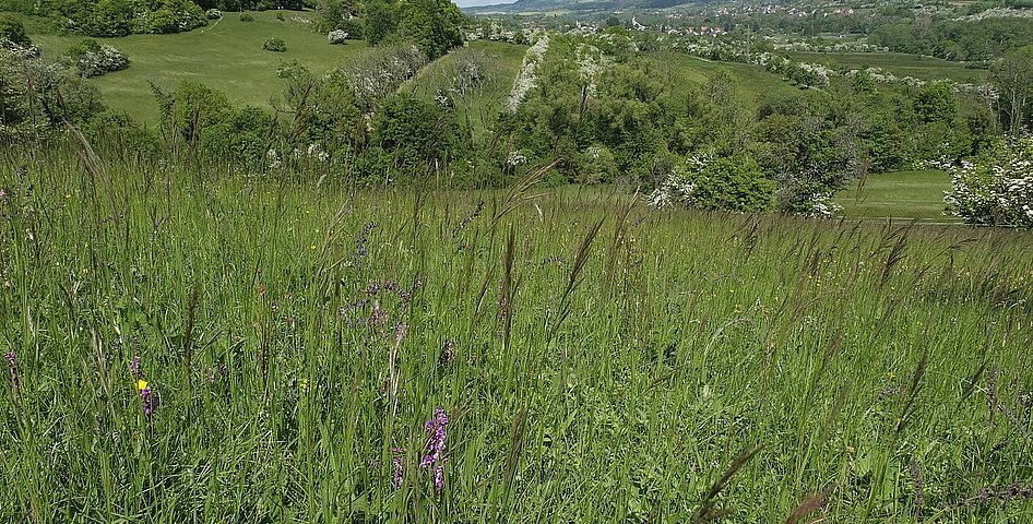 Reich strukturierte Landschaft