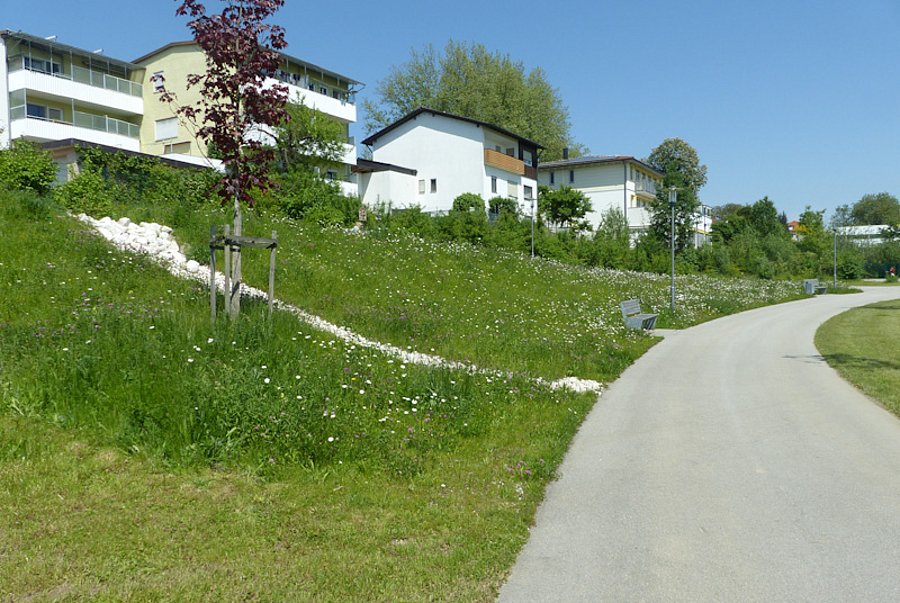 Fußweg mit seitlicher Blühfläche