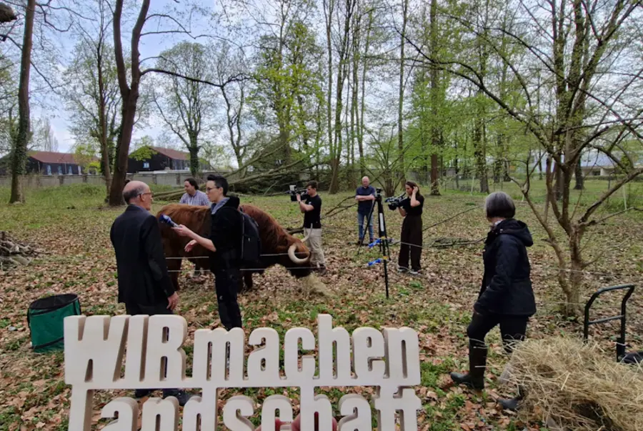 Kamerateam im Gehege eines Rindes