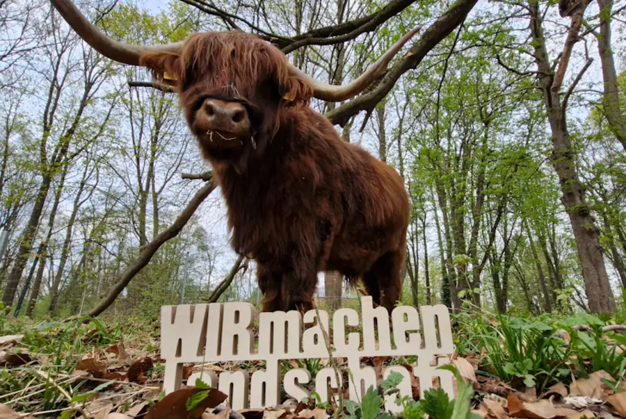 Rind hinter Schriftzug.