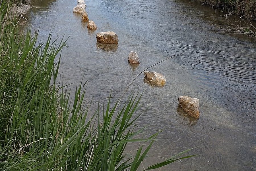 new gravel spawning ground has been created in the Grosse Laber near Schierling, district of Regensburg