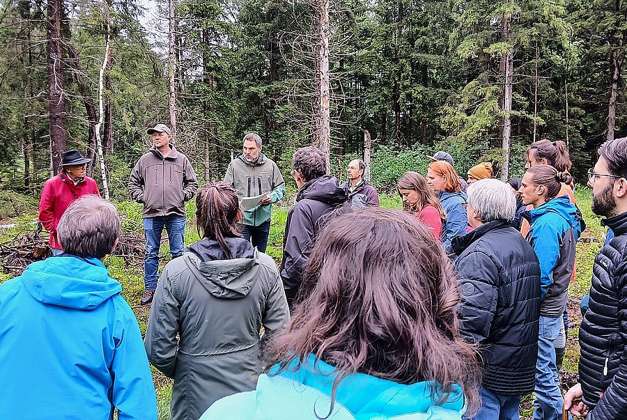 ©DVL Gruppe von Exkursionsteilnehmenden bei einer fachlichen Erläuterung in einem Nadelwald