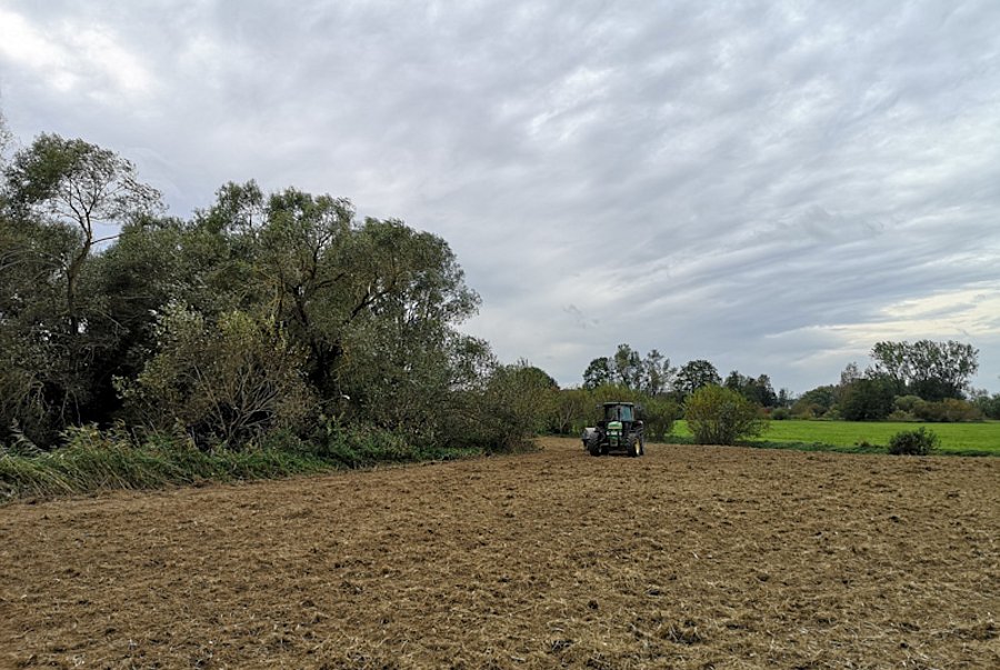 Traktor auf umgegrabener Fläche.