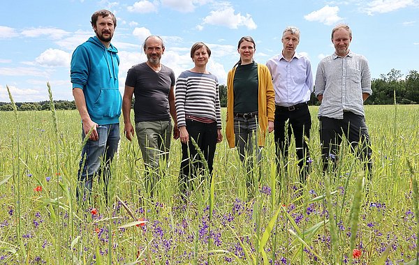 Ackerwildkraut-Wettbewerb 2024 in Oberbayern ©DVL Sechs Personen stehen auf einem Acker mit blühenden Ackerwildkräutern.