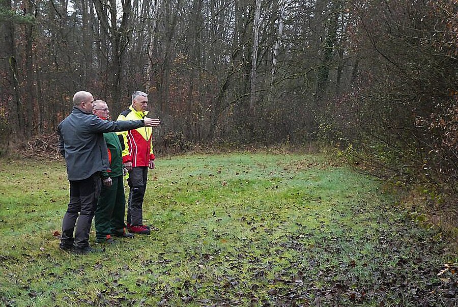 Drei Männer bei der Heckenpflege
