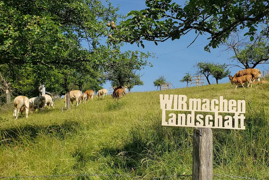 WIR machen Landschaft © Schriftzug vor Herde