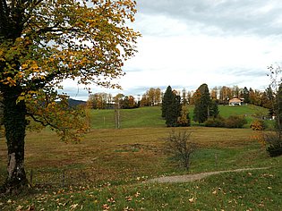 Weg durch Landschaft
