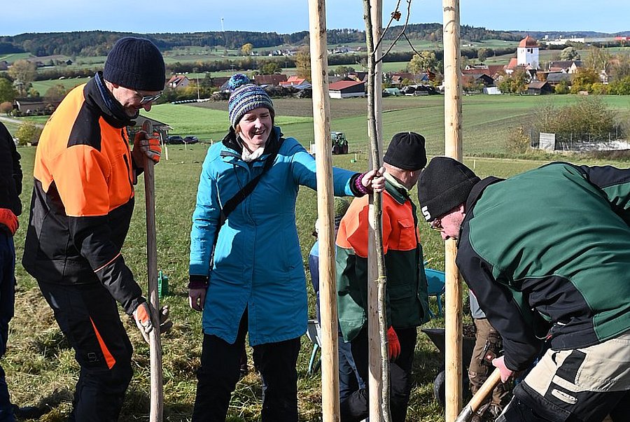 4 Personen pflanzen gemeinsam einen neuen Obstbaum