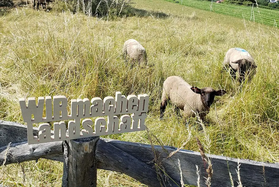 WIR machen Landschaft © Schriftzug vor Schafherde