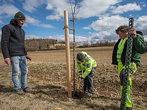 WIR machen Landschaft ©W. Willner Drei Männer pflanzen einen Baum