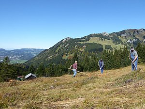WIR machen Landschaft ©L. Schaefer Männer entfernen Mahdgut