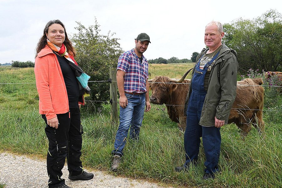 Drei Moor-Klimawirte stehen vor einem Wasserbüffel, der auf einer Wiese grast.