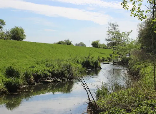 Bachlauf zwischen grünen Wiesen und Bäumen unter blauem, leicht bewölktem Himmel