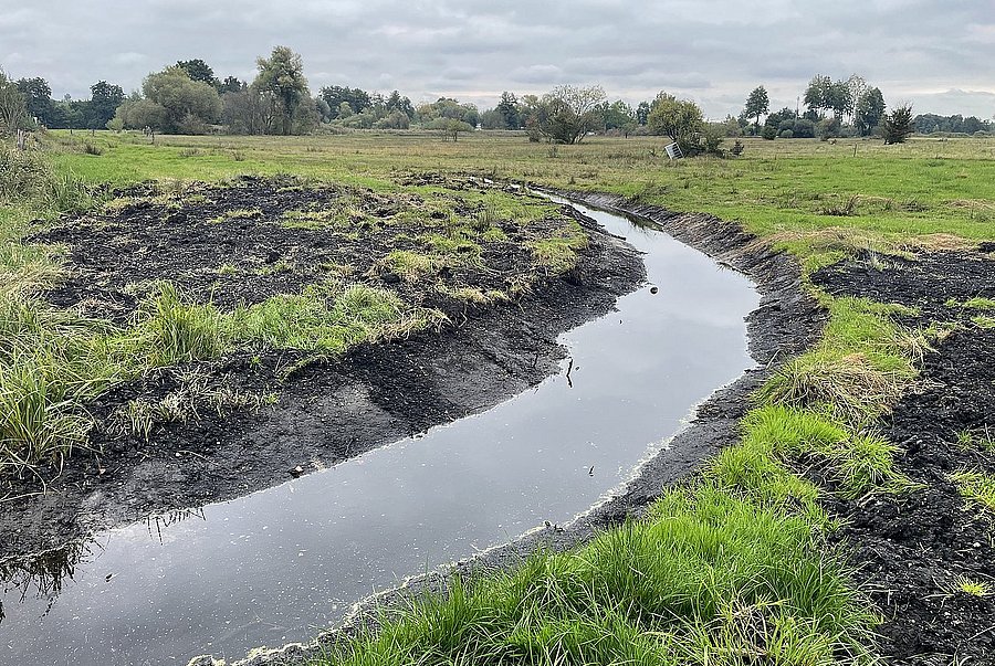 an old drainage ditch has been tapped - now water can flow back into the moor in the Niederleierndorf nature reserve, district of Kelheim 
