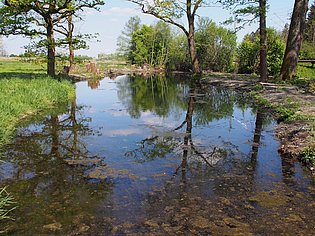 Weiher