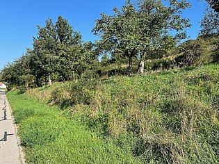 WIR machen Landschaft ©LPV Neumarkt i.d.OPf. e.V. Verbuschter Hang