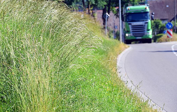 ©Foto: P. Roggenthin Straße mit Grünstreifen und vorbeifahrenden LKW