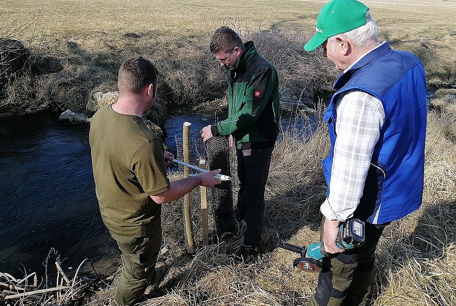 Freiwillige des Fischereivereins setzen Weidenstecklinge an Gräben und am Ufer der Großen Laber für Beschattung und helfen somit Klimaschutz und Biodiversität, Landkreis Regensburg, (c) LPV Regensburg
