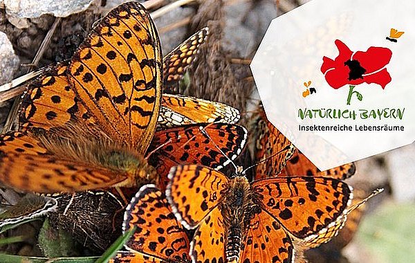 DVL-Leitlinien Insektenschutz ©DVL