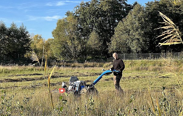 Pflege des letzten Kiebitz-Brutgebietes in Nordhessen ©Anett Shabani, DVL Ein Landschaftspfleger schneidet mit handgeführtem Mähgerät hohes Gras auf einer Wiese zurück.