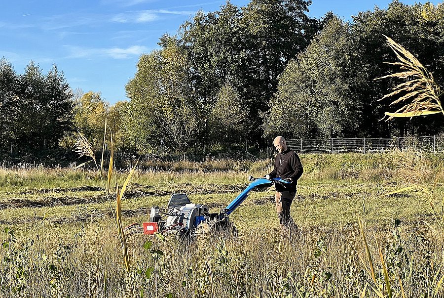 Pflege des letzten Kiebitz-Brutgebietes in Nordhessen ©Anett Shabani, DVL Ein Landschaftspfleger schneidet mit handgeführtem Mähgerät hohes Gras auf einer Wiese zurück.