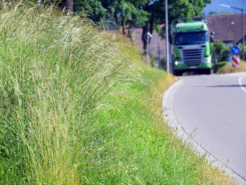Straße mit Grünstreifen und vorbeifahrenden LKW